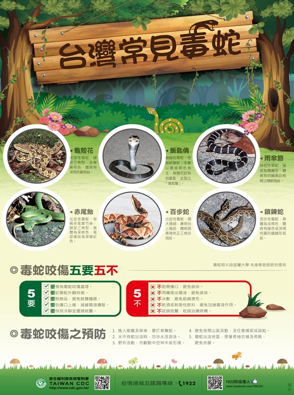清明掃墓打草驚蛇避免蛇吻 保命「五要五不」要牢記.jpg 清明掃墓打草驚蛇避免蛇吻 保命「五要五不」要牢記.jpg