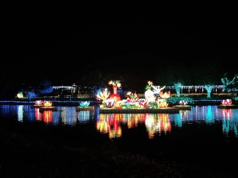 2018花在彰化~溪州公園看花賞燈鬧春宵13.jpg 2018花在彰化~溪州公園看花賞燈鬧春宵13.jpg