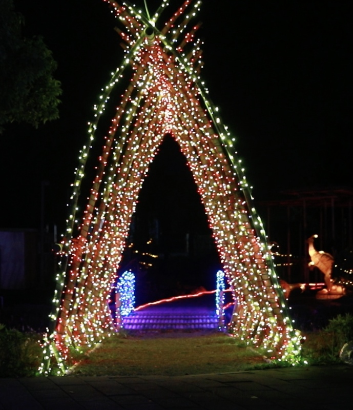 2018花在彰化~溪州公園看花賞燈鬧春宵15.jpg 2018花在彰化~溪州公園看花賞燈鬧春宵15.jpg