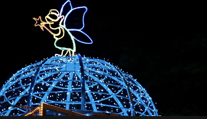 2018花在彰化~溪州公園看花賞燈鬧春宵17.jpg 2018花在彰化~溪州公園看花賞燈鬧春宵17.jpg