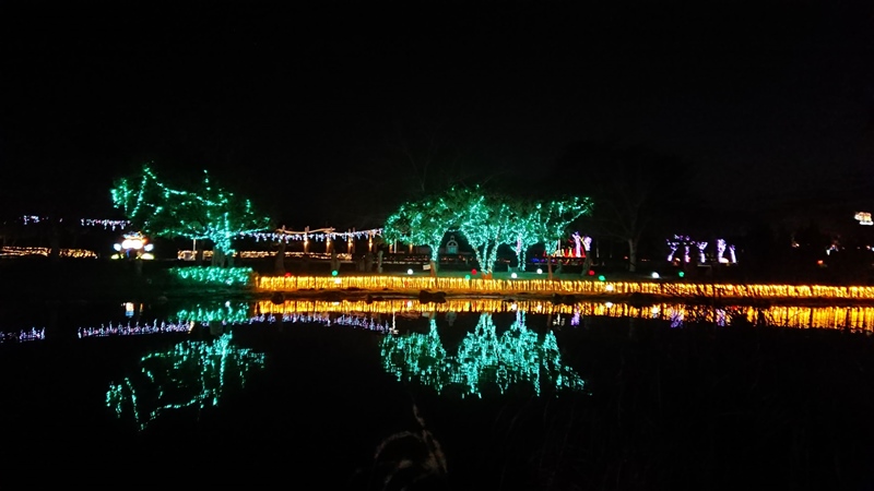 2018花在彰化~溪州公園看花賞燈鬧春宵4.jpg 2018花在彰化~溪州公園看花賞燈鬧春宵4.jpg