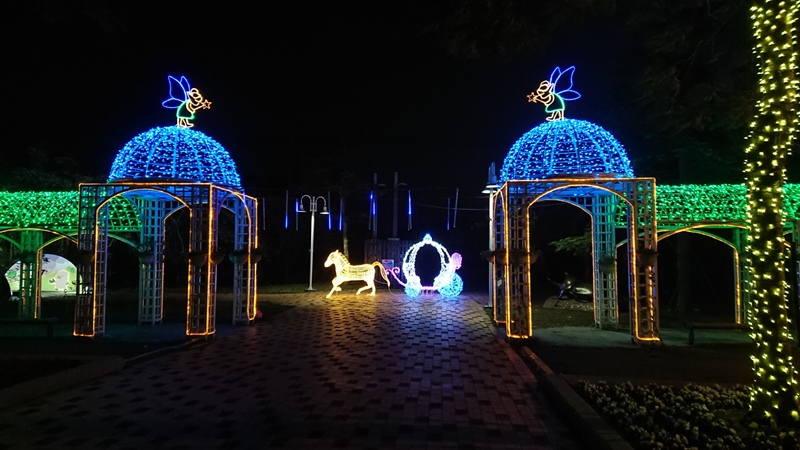 2018花在彰化~溪州公園看花賞燈鬧春宵8.jpg 2018花在彰化~溪州公園看花賞燈鬧春宵8.jpg