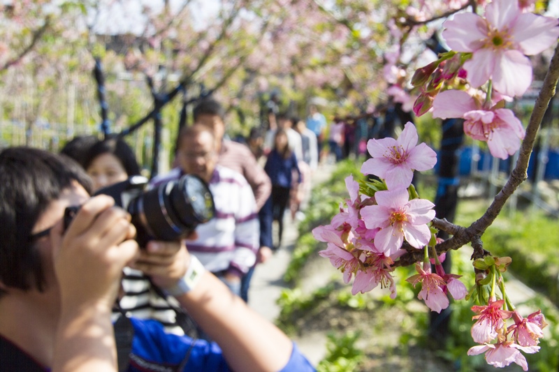 芬園花卉生產休憩園區18.jpg