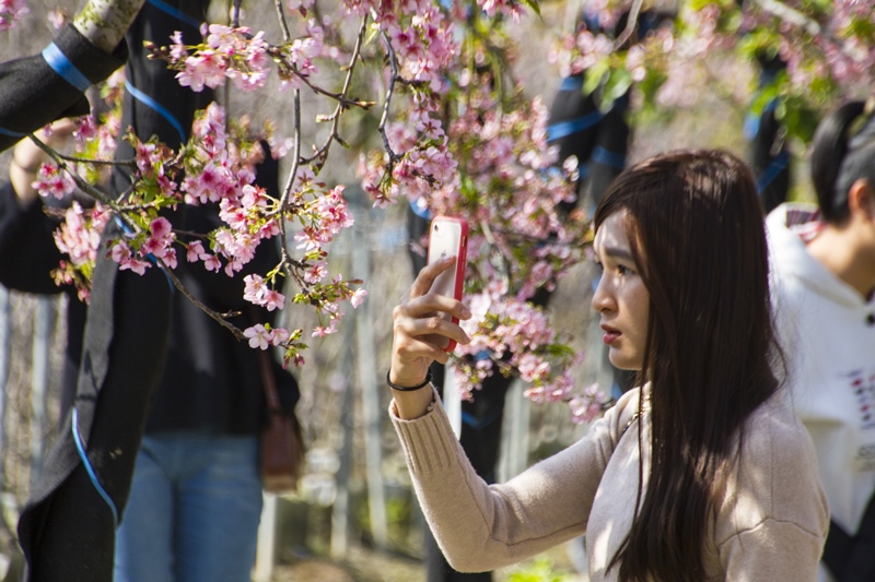 芬園花卉生產休憩園區19.jpg