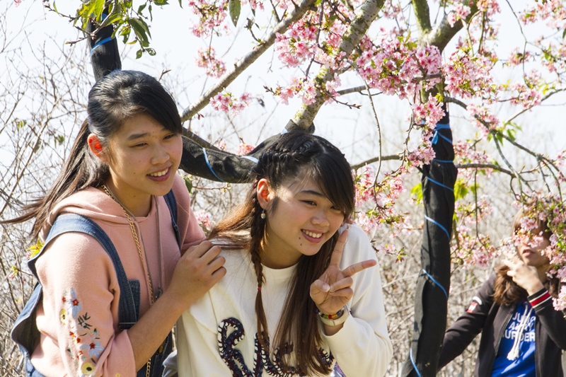 芬園花卉生產休憩園區20.jpg