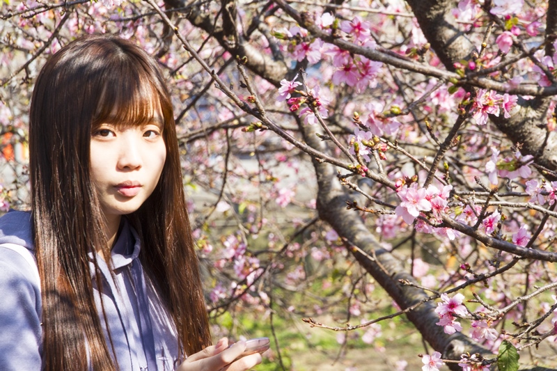 芬園花卉生產休憩園區21.jpg