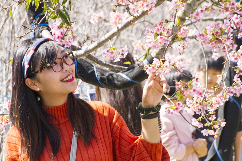 芬園花卉生產休憩園區22.jpg