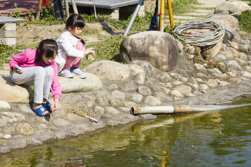 芬園花卉生產休憩園區5.jpg