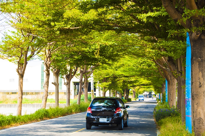 彰化秀水半日遊-馬興社區藥草植物園區2.jpg