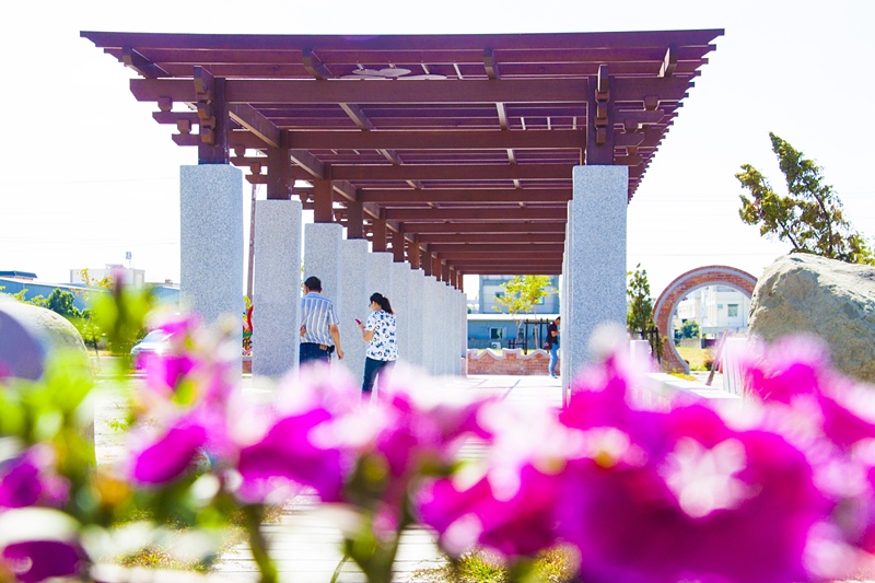 彰化秀水半日遊-馬興社區藥草植物園區22.jpg
