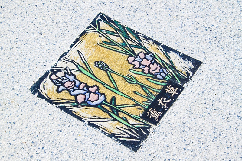 彰化秀水半日遊-馬興社區藥草植物園區34.jpg