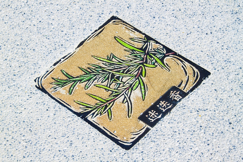 彰化秀水半日遊-馬興社區藥草植物園區36.jpg