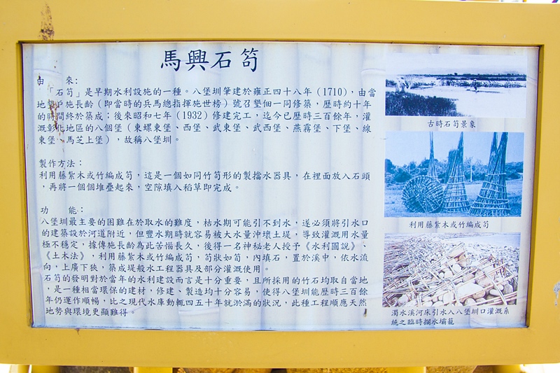 彰化秀水半日遊-馬興社區藥草植物園區9.jpg