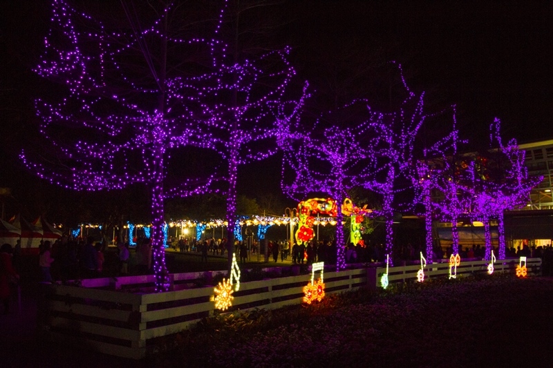2018花在彰化-溪州公園12.jpg