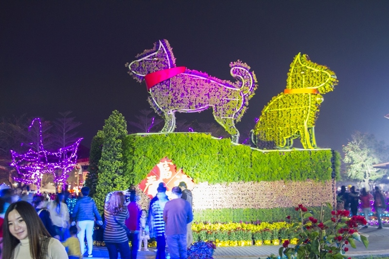 2018花在彰化-溪州公園9.jpg